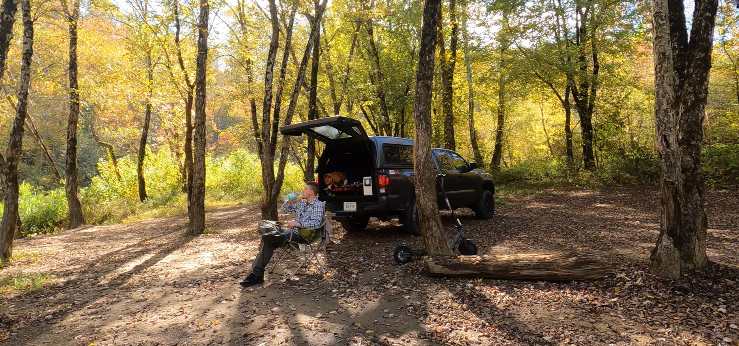 Nature's Symphony: Exploring a Tranquil Creekside Retreat